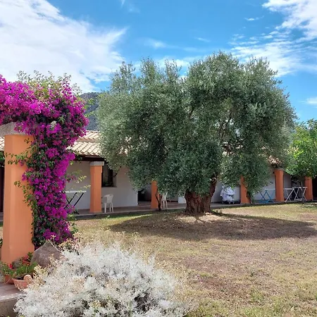 Otel Hotel Cardedu