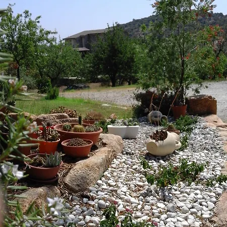 Hotel Cardedu فندق