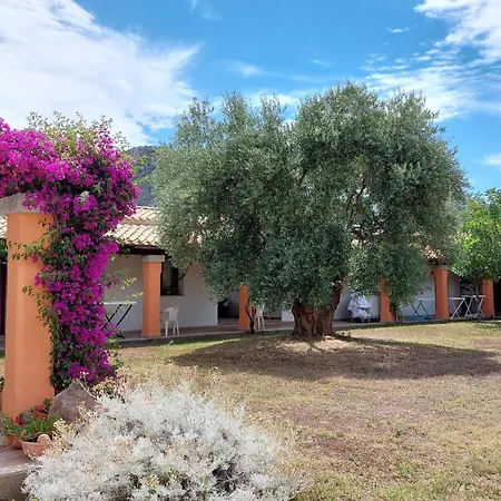 Ξενοδοχείο Hotel Cardedu